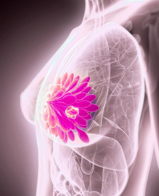 Servicio de prevención de cáncer ginecológico y de mama en clínica ginecológica Dr. Francisco Valdivieso Pérez en Jaén